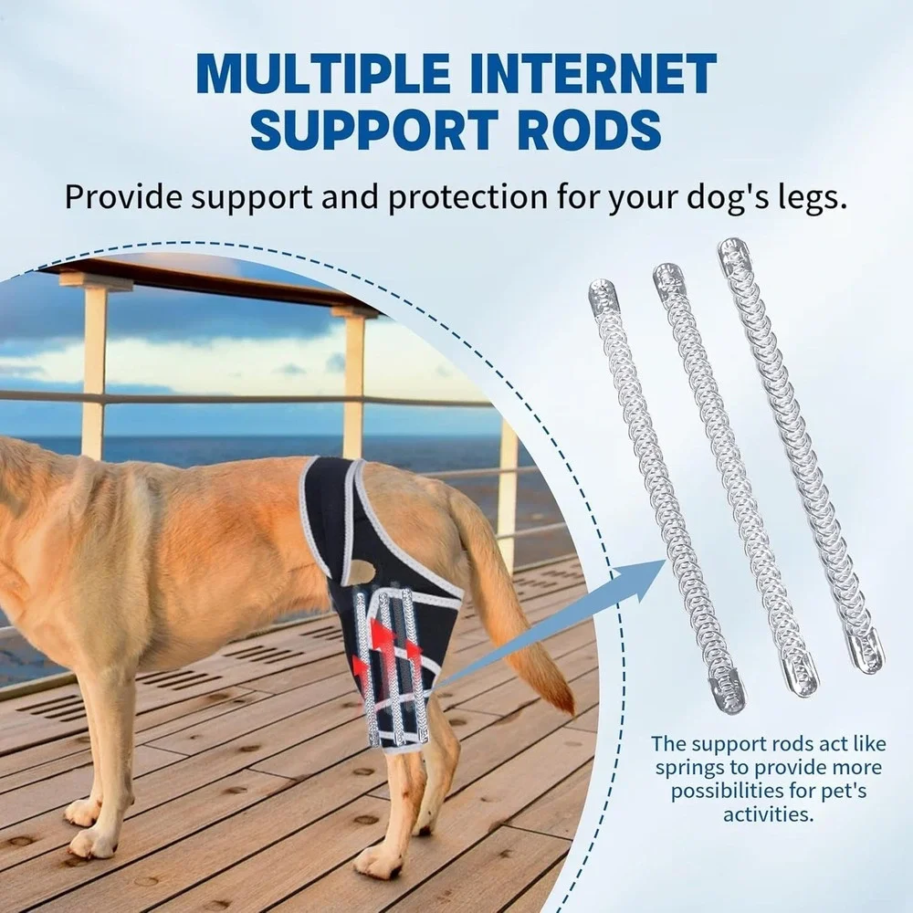 Universal Dog‎ Knee Brace – Torn ACL Joint Support Front/Back Legs Size XLarge